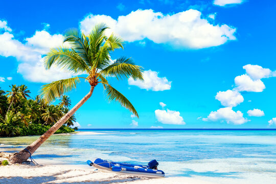 Palm tree on the caribbean tropical beach with rubber boat. Saona Island, Dominican Republic. Vacation travel background