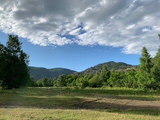 A large green field with trees in the background. Blue sky