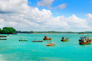 Fototapeta na wymiar Traditional Sri Lanka fishing boats in the Mirissa harbor