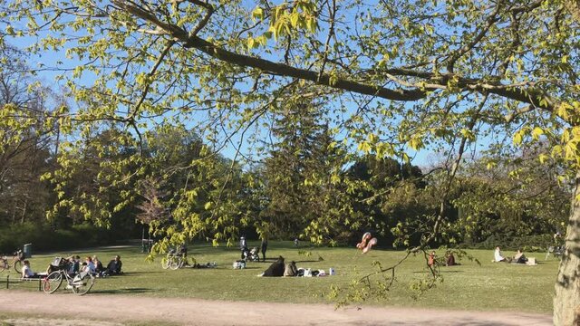 people relaxing in the field park in Malmo Sweden June 2020