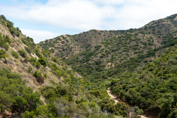Fototapeta na wymiar Hiking trails going to the top of Santa Catalina Island mountains. California, USA