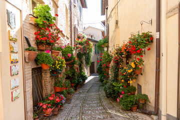 Fototapeta na wymiar alleys of spello decorated with plants and characteristic flowers