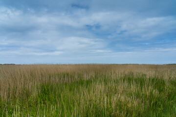 Nordsee Tourismus Reise Urlaub Sonne