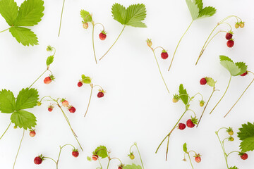 Red wild strawberries frame on white background with copy space fot text