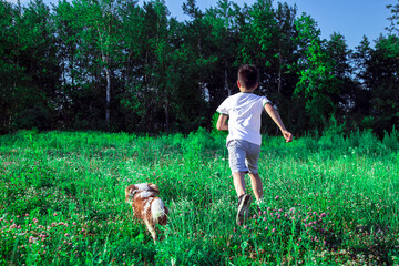 A 10 year old boy runs with a dog in a meadow. Juicy greenery, blue sky, summer time, freedom and...