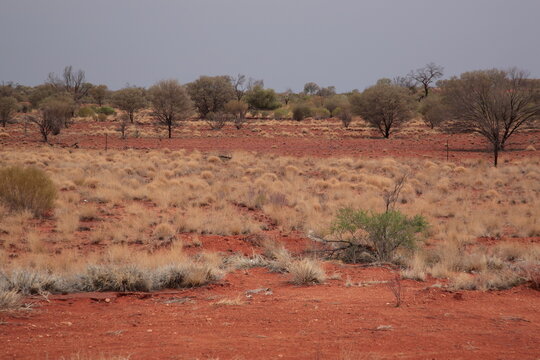 View Of Red Desert Sands In Outback Central Australia