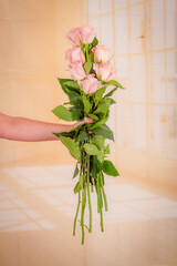 Women hand holding a bouquet of Luciano roses variety, studio shot.
