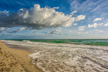 Obraz premium Oceano 