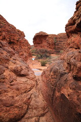 Landscape of kings canyon in outback central Australia