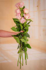 Women hand holding a bouquet of Luciano roses variety, studio shot.