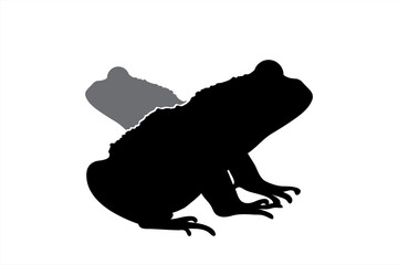 Vector silhouette of couple of frogs. Symbol of pond animal.