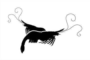 Vector silhouette of couple of shrimps on white background. Symbol of ocean animal.