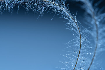 blue background with drops