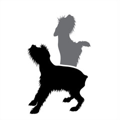 Vector silhouette of couple of dogs. Symbol of pet.