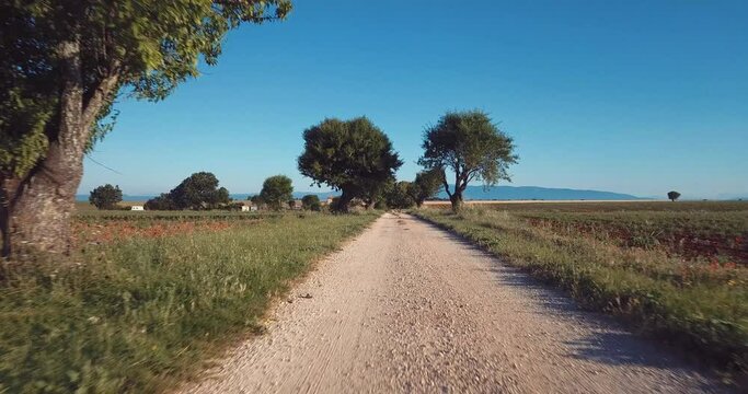 chemin en provence - Sud France