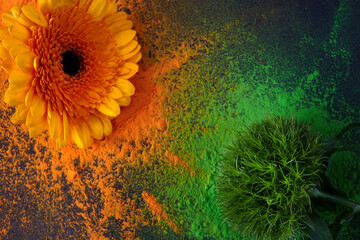 Orange and green color powder splash. Concept for India independence day, 15th of august.