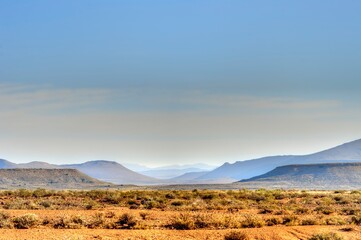 SNEEUBERG CONSERVANCY, NEW BETHESDA, EASTERN CAPE, South Africa