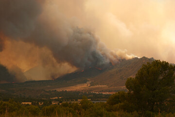 Incendio forestal, 1 de julio de 2012, Hellín-Albacete-España