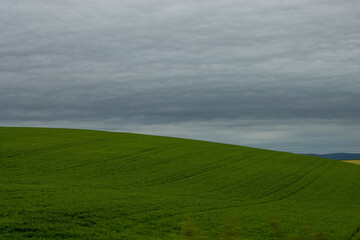 green field and clouds