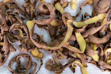 Dried potato peeling on a white background