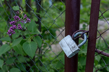 Gray lock on the gate. Property protection.