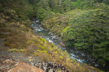 Tongariro National Park Neuseeland / New Zealand
