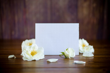 bouquet of beautiful white roses and blank card