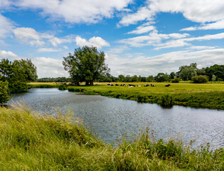 landscape with river and blue sky