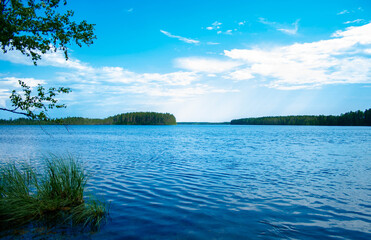 summer landscape with lake