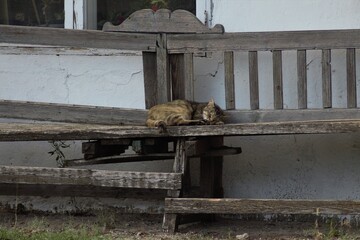 Chateau de Lacarin (Shabo, Odessa Region, Ukraine)