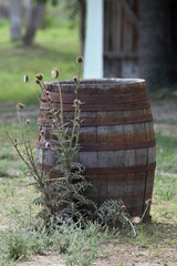 Chateau de Lacarin (Shabo, Odessa Region, Ukraine)