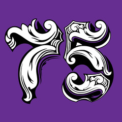 Obraz premium A Detailed Ornamental Number Seventy Five Anniversary Icon