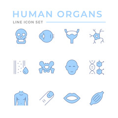 Set color line icons of human organs