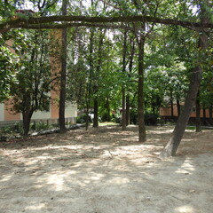 alley in the park