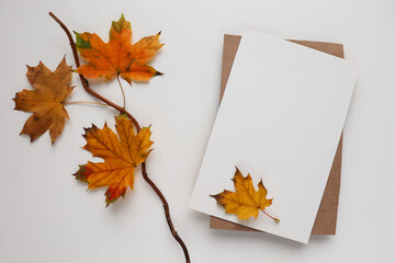 postcard mockup. autumn leaves on a white background and envelope