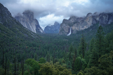 Obraz premium tunnel view in yosemite nationalpark, california, usa