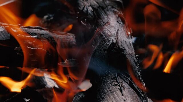 Burning firewood in a fire. Bonfire close-up.