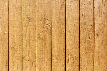 Wood plank texture