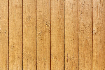 Obraz premium Wood plank texture