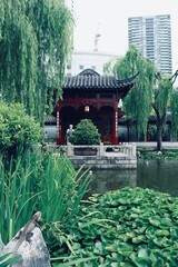Chinese Garden of Friendship, Sydney, Australia, NSW