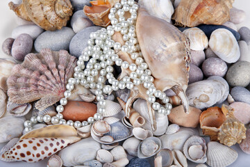 Mixed colorful sea shells as background. Seashells, pearls on summer beach and sand