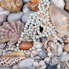 Mixed colorful sea shells as background. Seashells, pearls on summer beach and sand