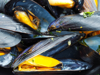 Cooked fresh sea mussels close-up 