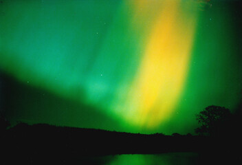Green auroras with orange parts in a landscape with trees