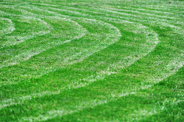 A large green mowed lawn. Pattern on the lawn. Patterns.