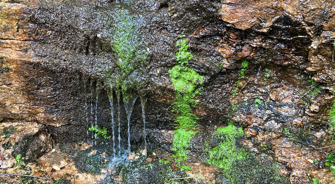 Pared de agua