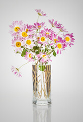Beautiful bouquet of chrysanthemums flowers