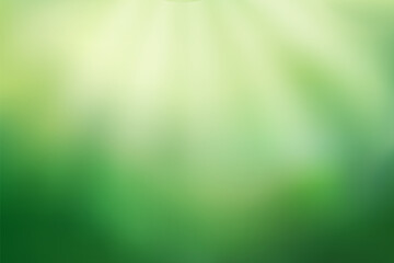 Abstract green blurred background with sunlight. Nature gradient backdrop. Vector illustration. Ecology concept for your graphic design, banner or poster.