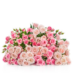 Bouquet of pink roses flowers isolated on white background