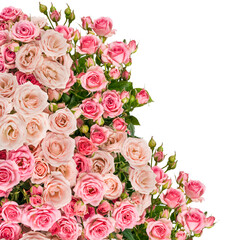 Beautiful Roses Bouquet Flowers Background. Copy spase, flat lay, top view, Holiday symbol. Greeting card, isolated on white